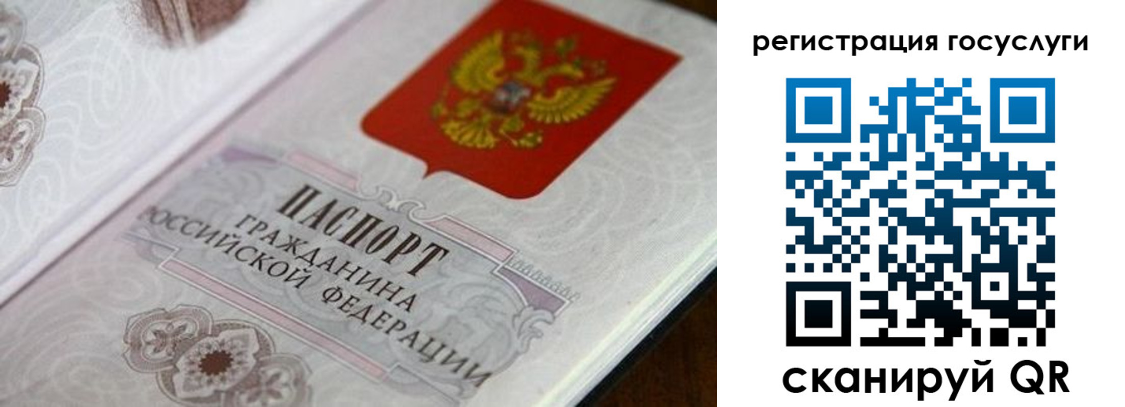 прописка 2025 в Бийске